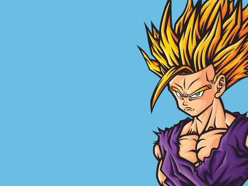 Dragon Ball Z Super Saiyan Gohan 800x600 Dragon Ball Z Super Saiyan Gohan