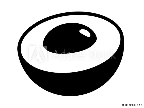 500x375 Longan Or Dragon Eye Fruit With Seed Or Pit Flat Vector Icon