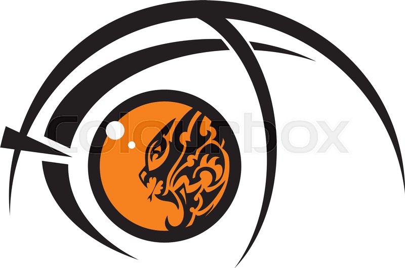 800x530 The Eye Of Fish Created