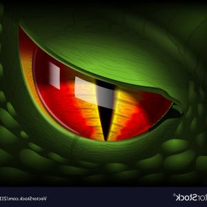 300x300 Catamart Creative Vector Illustrator