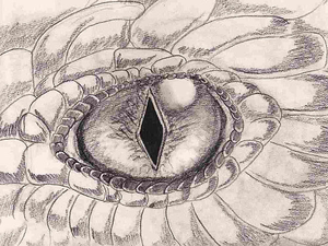 300x225 Dragon Eye Free Images