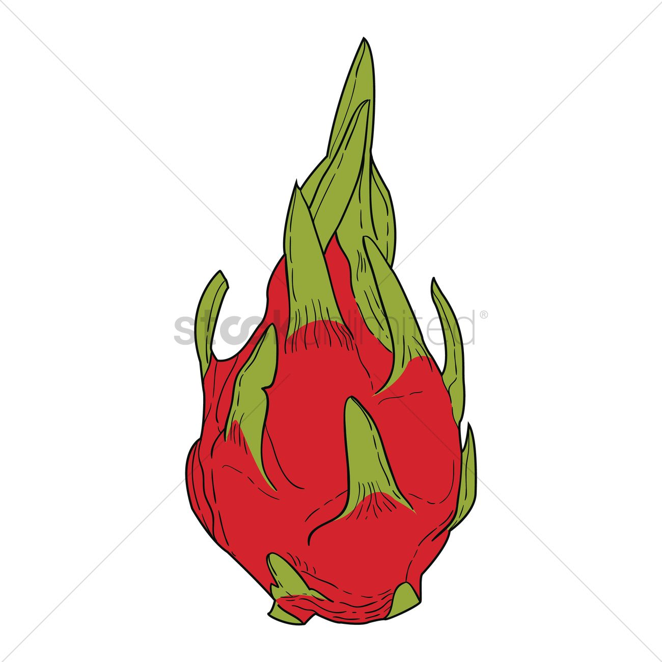 1300x1300 Dragon Fruit Vector Image