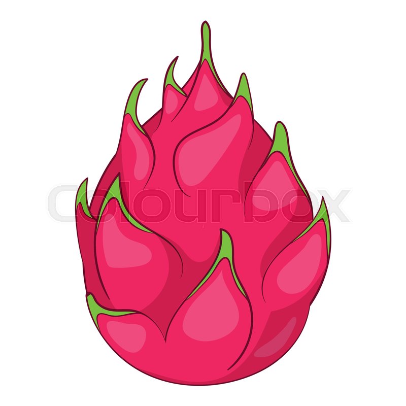 800x800 Dragon Fruit Icon Cartoon Stock Vector Colourbox