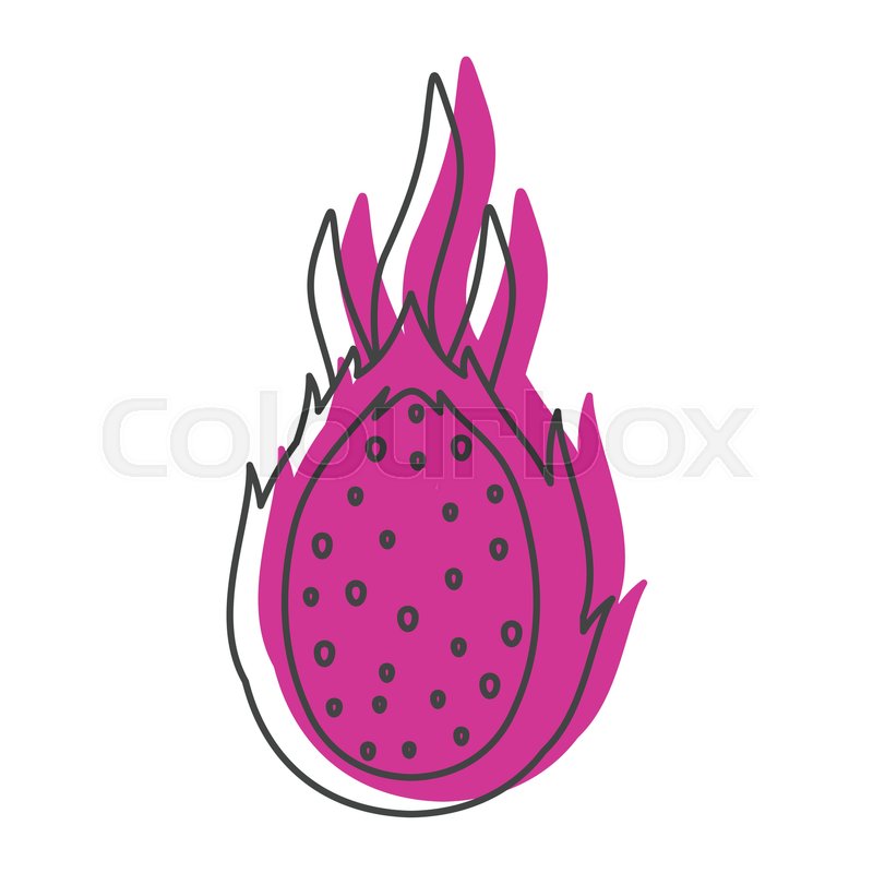 800x800 Dragon Fruit In Doodle Style Icons Stock Vector Colourbox
