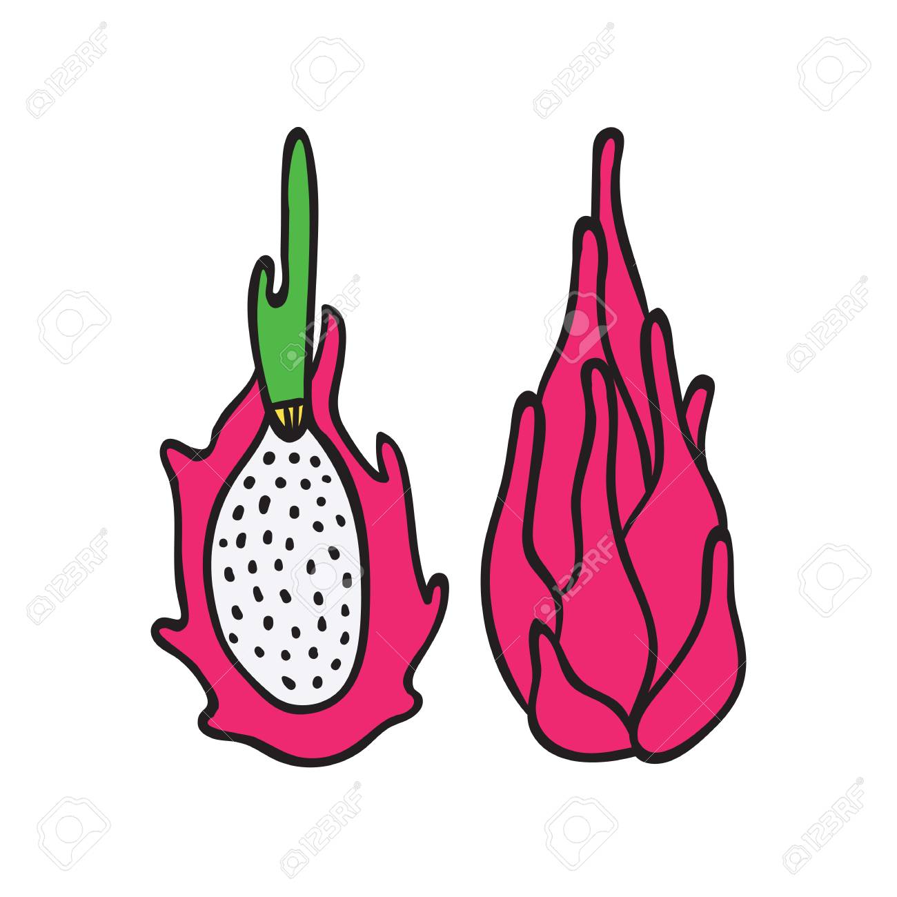 1300x1300 Dragon Fruit Icon