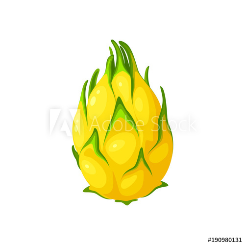 500x500 Summer Tropical Fruits For Healthy Lifestyle Yellow Dragon Fruit