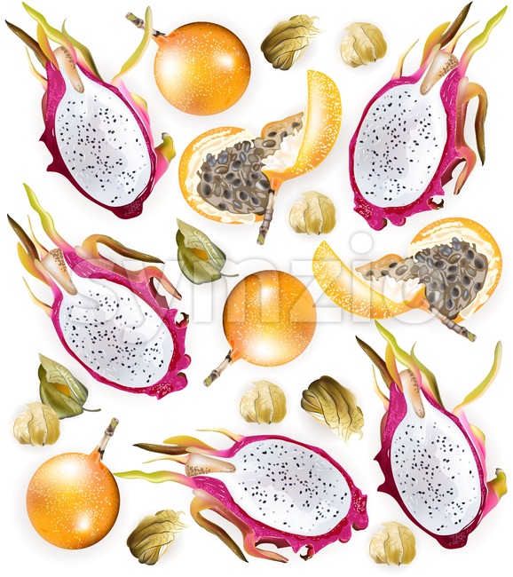 578x650 Tropic Fruits Pattern Vector Realistic Dragon Fruit, Vector