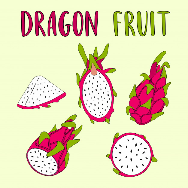 626x626 Whole And Sliced Dragon Fruit Vector Illustration Vector