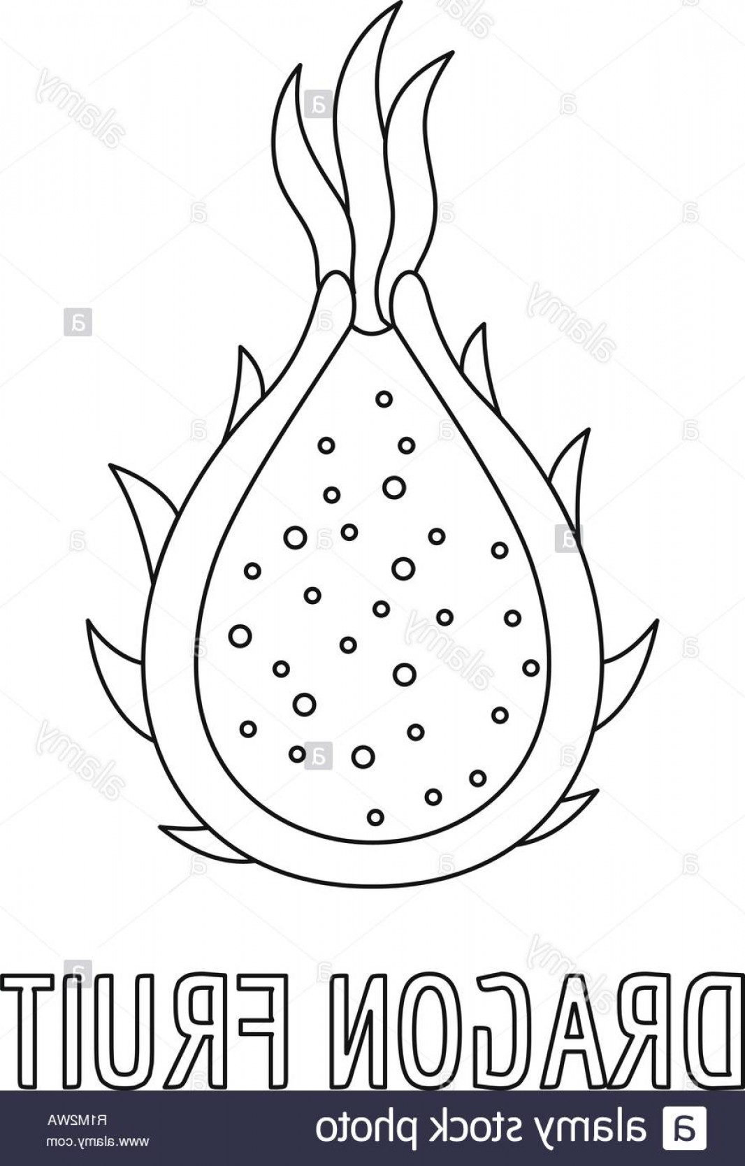 1066x1668 Dragon Fruit Icon Outline Illustration Of Dragon Fruit Vector Icon