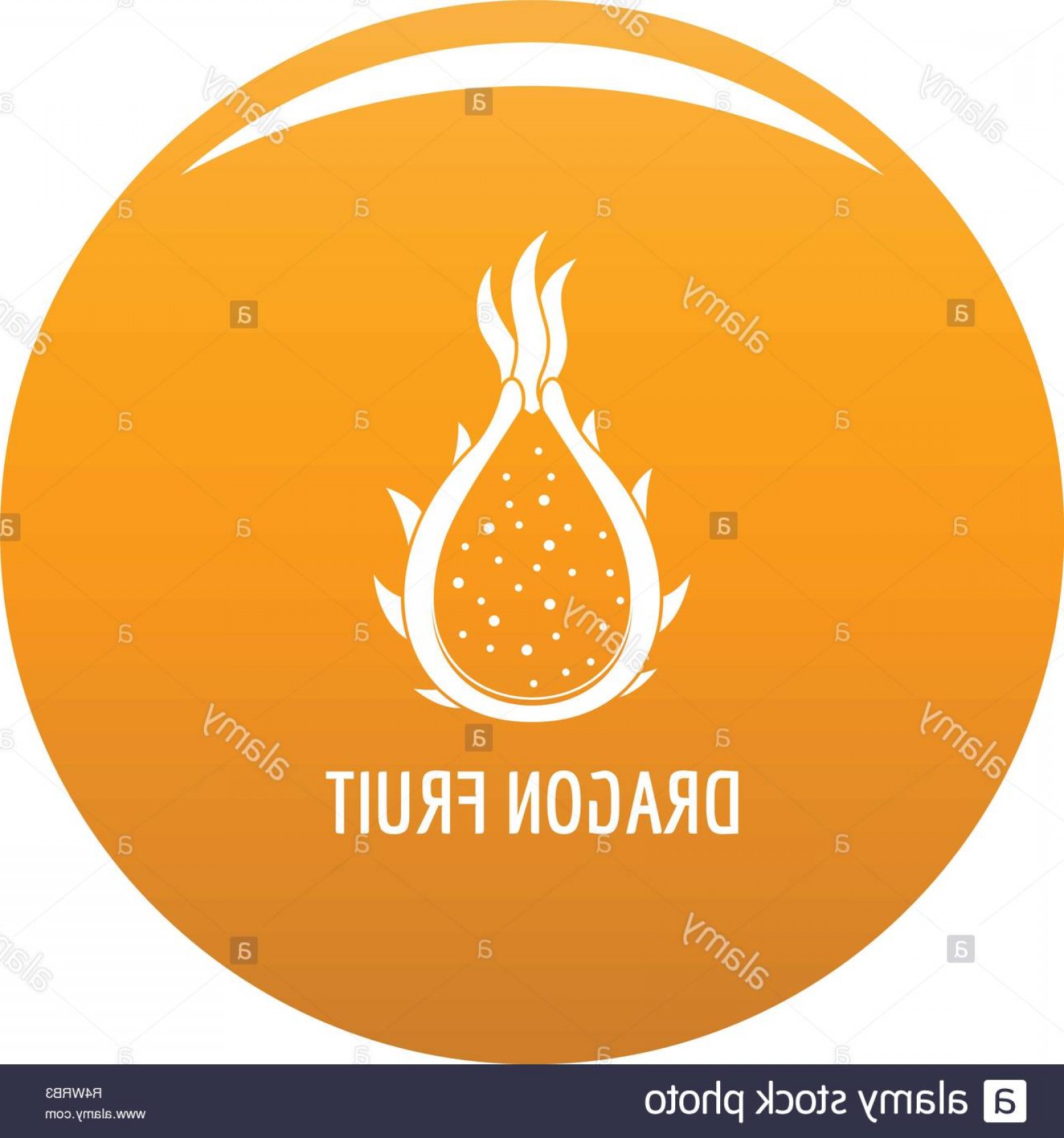 1560x1668 Dragon Fruit Icon Simple Illustration Of Dragon Fruit Vector Icon