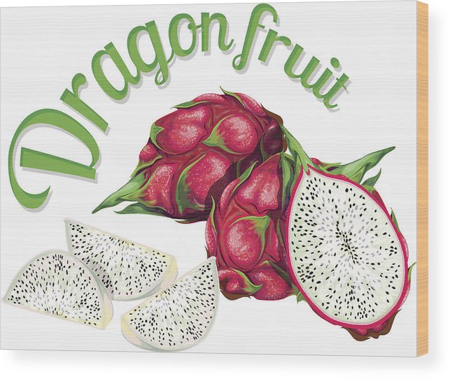 643x542 Dragon Fruit Vector Illustration Made In A Realistic Style Wood
