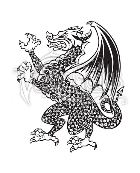 468x580 Medieval Dragon Coat Of Arms Stockart