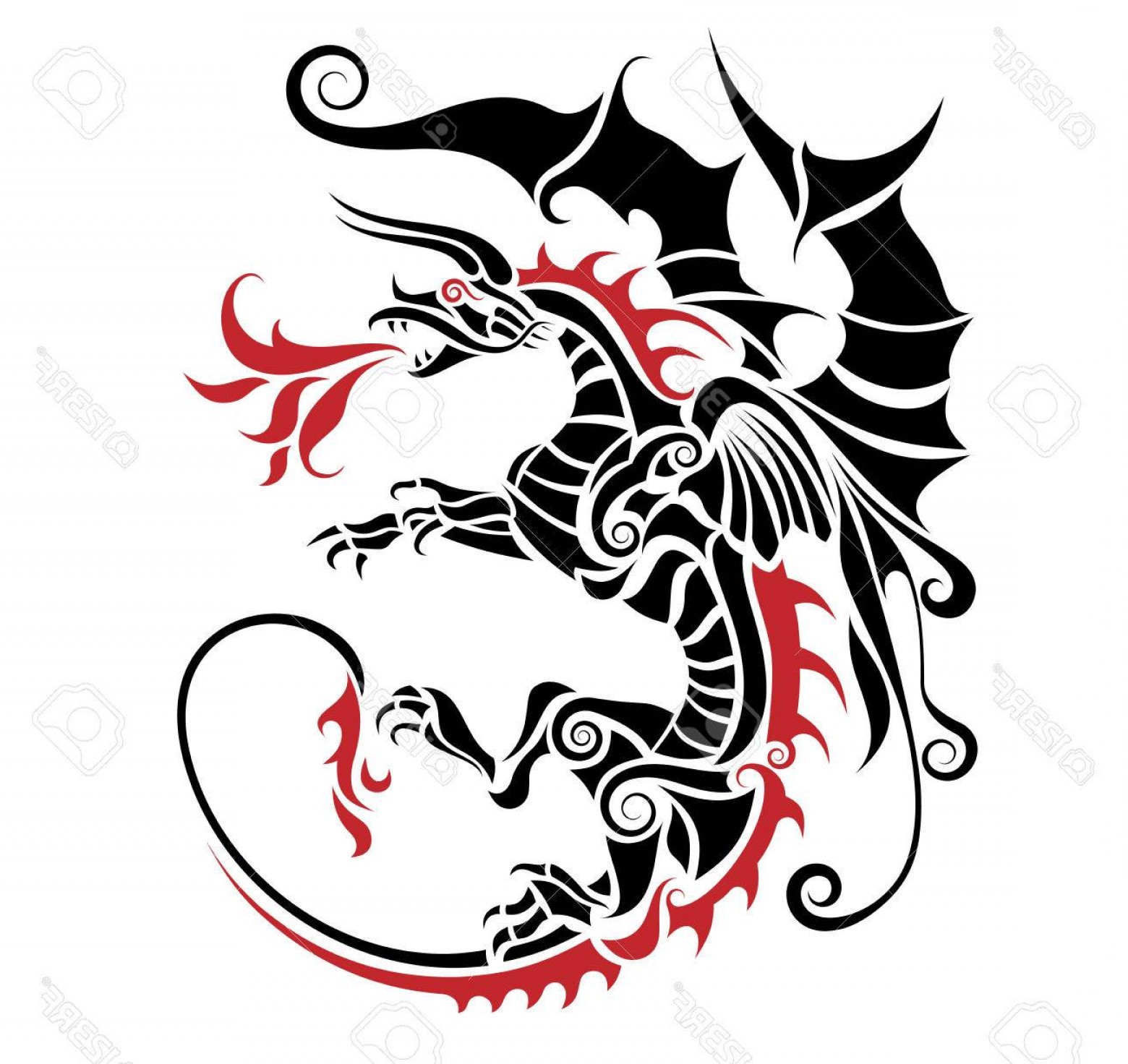 Photostock Vector Tribal Dragon Tattoo Vector Illustration Soidergi 1560x1472 Photostock Vector Tribal Dragon Tattoo Vector Illustration Soidergi