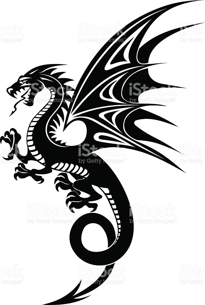 Black Danger Dragon Isolated On White Background Vector 687x1024 Black Danger Dragon Isolated On White Background Vector