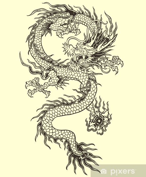 Dragon Vector Sticker We Live To Change 580x700 Dragon Vector Sticker We Live To Change