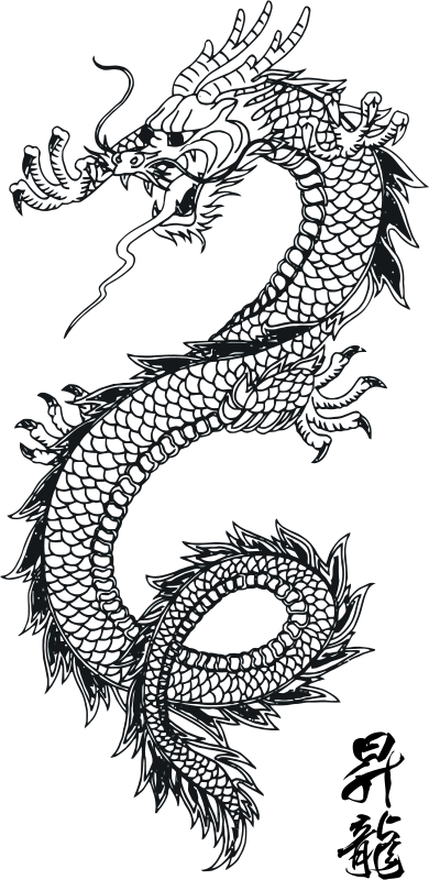 Free Clipart Dragon Vector Art Samuraiagency 390x800 Free Clipart Dragon Vector Art Samuraiagency