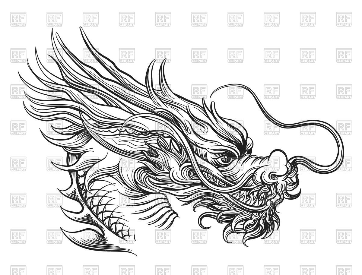 Hand Drawn Shinese Dragon Vector Image Of Plants And Animals 1200x912 Hand Drawn Shinese Dragon Vector Image Of Plants And Animals