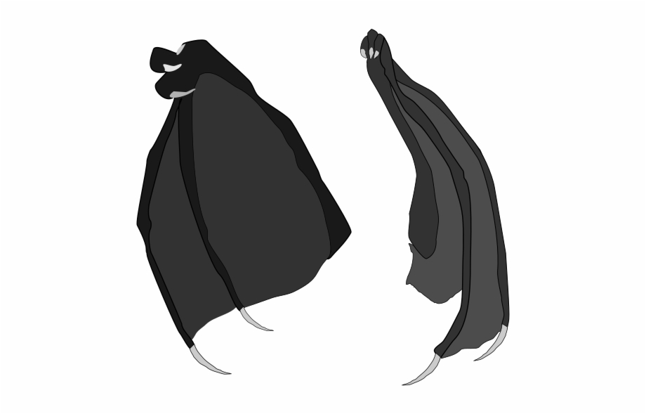 920x589 Dragon Wings Vector Stock Blk