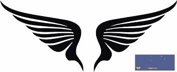 352x143 Dragon Wings Logo