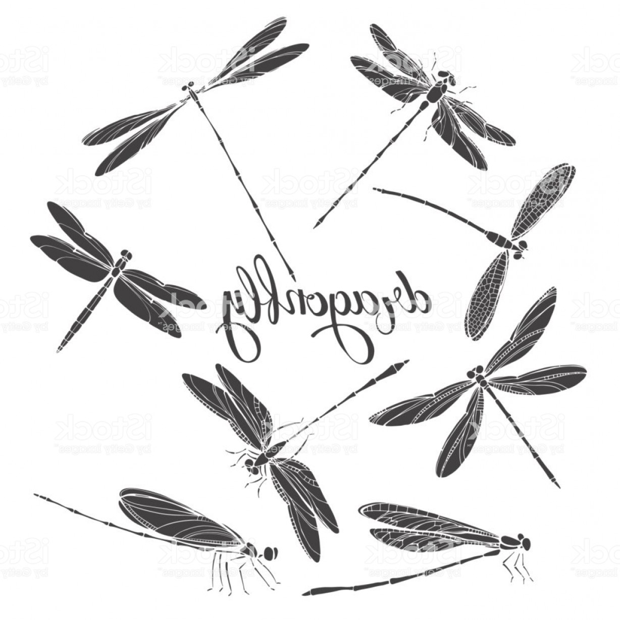 1228x1228 Dragonfly Silhouettes Vector Illustration On White Background