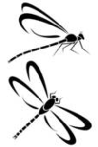 201x300 Dragonfly Clipart Silhouette For Free Download And Use Images