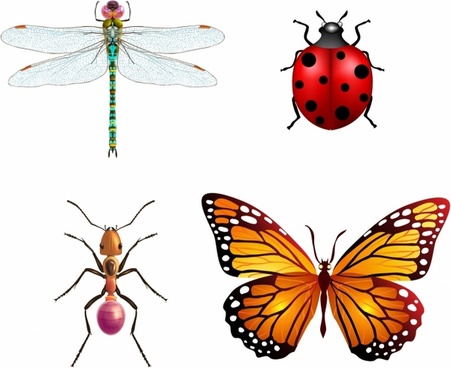 451x368 Dragonfly Free Vector Download