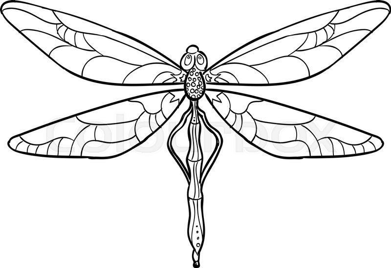 800x549 Elegant Dragonfly Silhouette