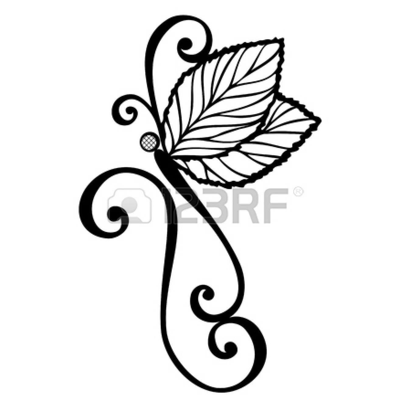 1350x1350 Vector Beautiful Dragonfly