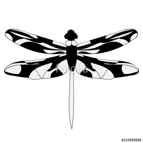 500x500 Black And White Dragonfly Silhouette Stock Image And Royalty Free