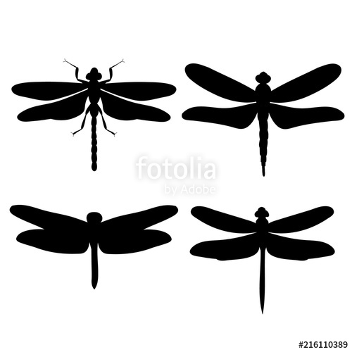 500x500 Dragonfly Silhouette, Set Stock Image And Royalty Free Vector