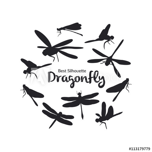 500x500 Illustration With Teen Dragonfly Silhouette Isolated On White