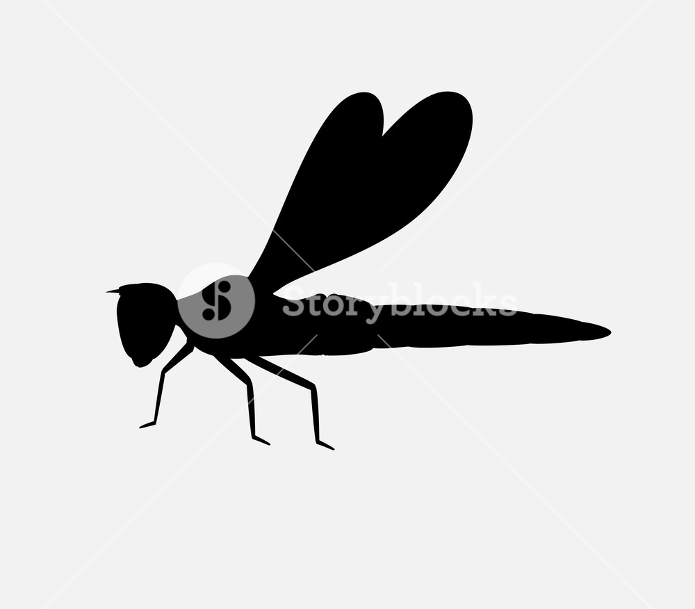 1000x876 Dragonfly Silhouette Vector Illustration Royalty Free Stock Image