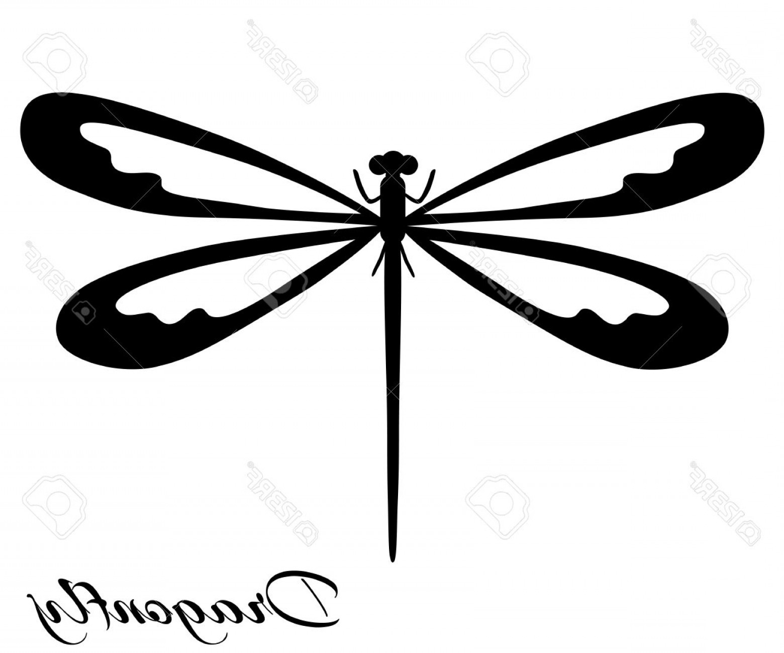 1560x1299 Dragonfly Vector Black And White Handandbeak