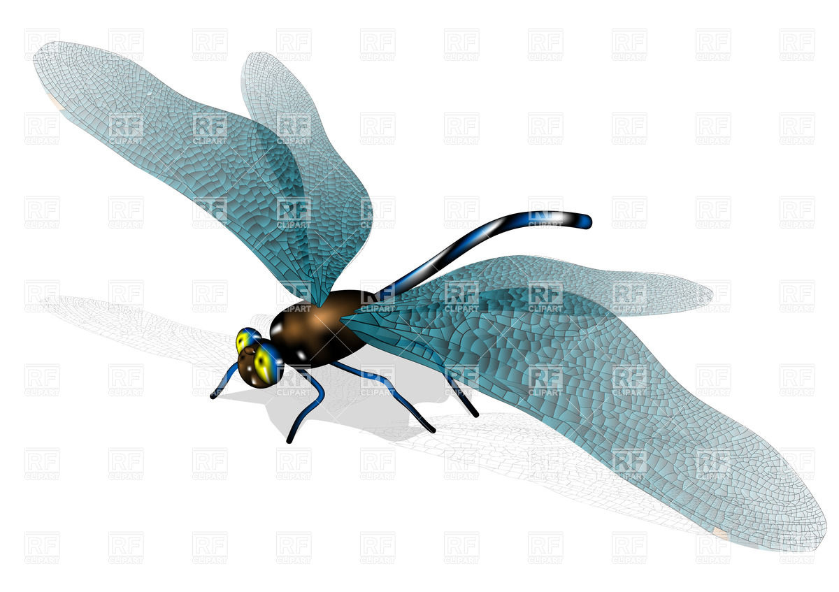 1200x847 Dragonfly Vector Image Of Plants And Animals Arkela