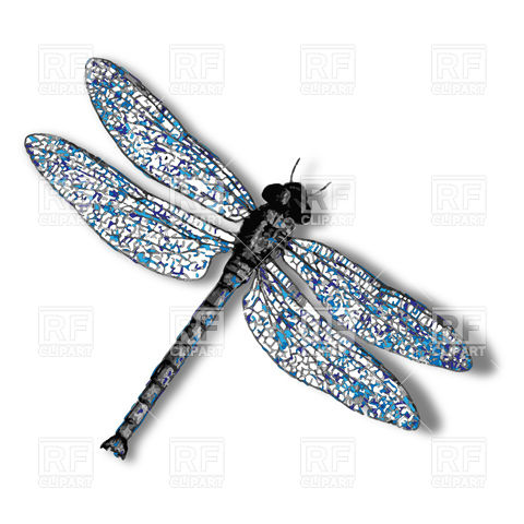 480x480 Dragonfly Vector Image Of Plants And Animals Robertosch
