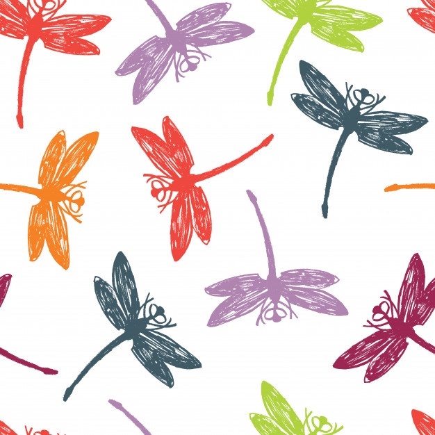 626x626 Dragonfly Vectors, Photos And Free Download