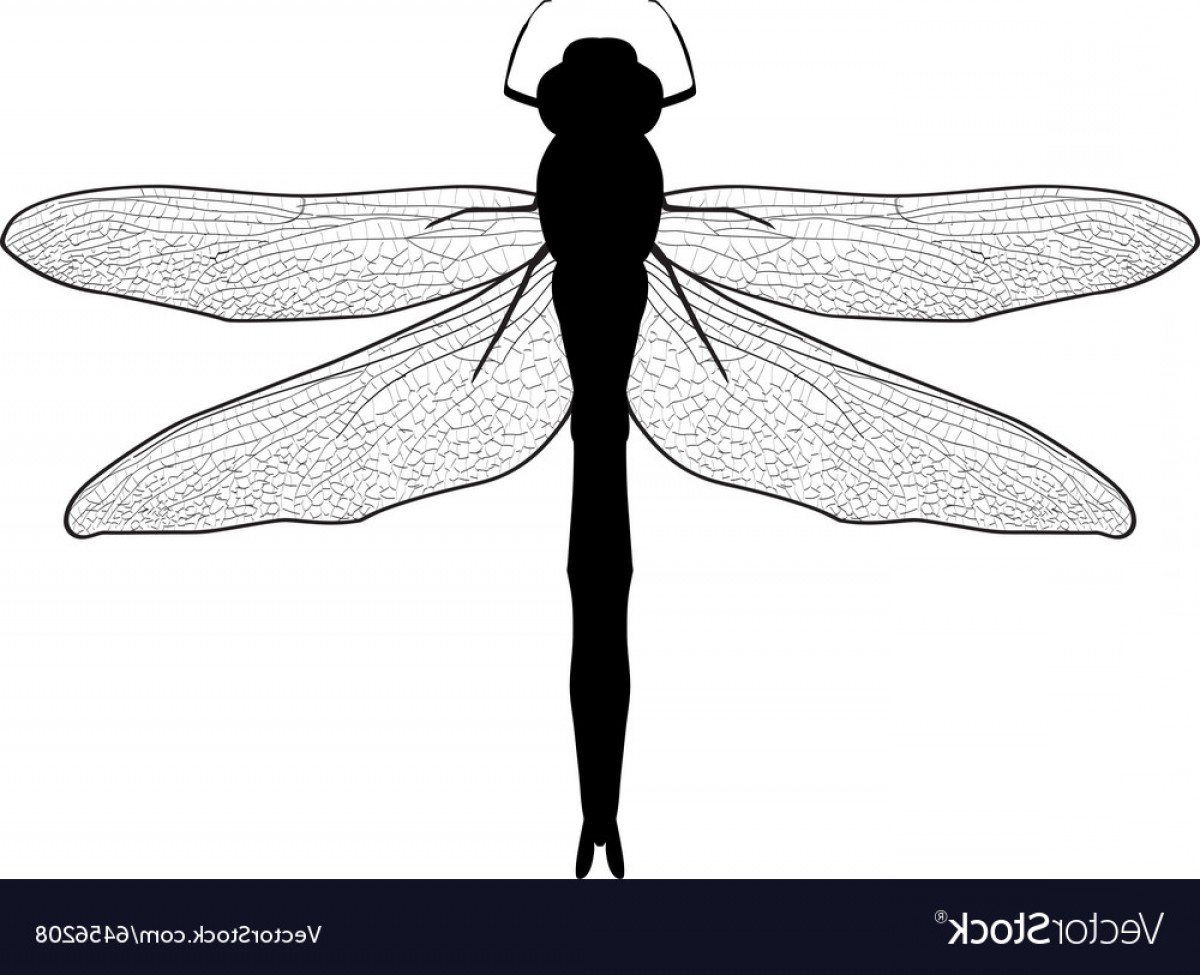 1200x975 Black And White Of A Dragonfly Vector Handandbeak
