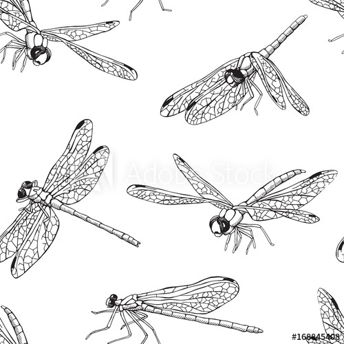 500x500 Seamless Pattern With Different Dragonfly Vector Black And White