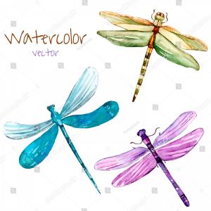 300x300 Set Of Black Dragonflies Silhouettes Vector Clipart Hoodamathrun