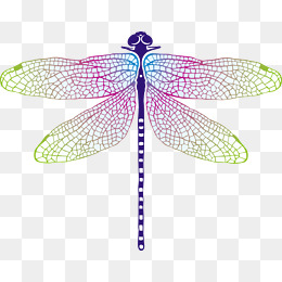 260x260 Download Free Png Dragonfly Vector Png, Vectors, And Clipart