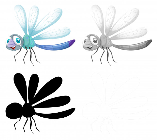 626x557 Dragonfly Vectors, Photos And Free Download
