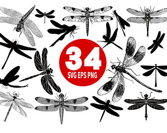 340x270 Dragonfly Vector Etsy