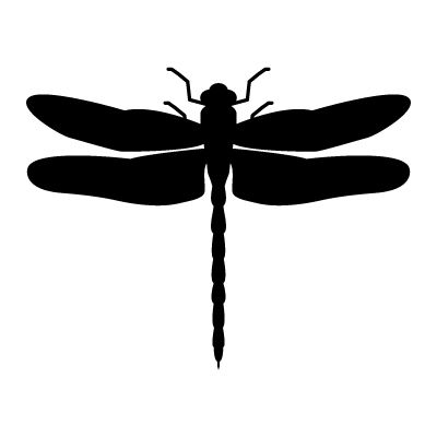 400x400 Vector Dragonfly, Vector Art, Dragonfly Stock Vector Vectoriel