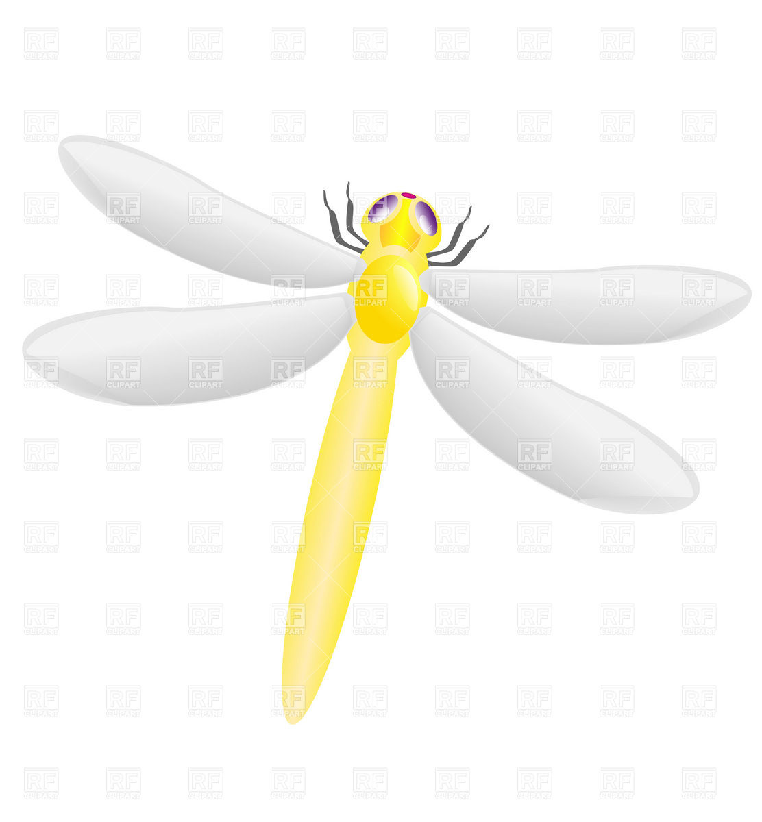 1112x1200 Yellow Dragonfly Vector Image Of Plants And Animals Konturvid