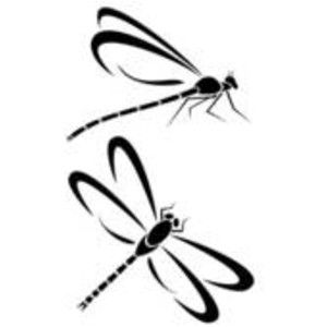 300x300 Damselfly Drawings Dragonflies Image