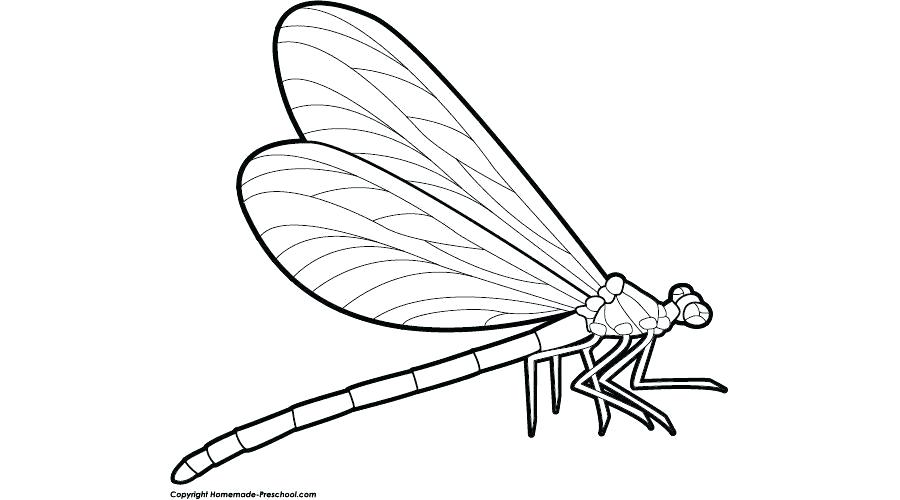 900x500 Free Dragonfly Clipart Remotelearners Club