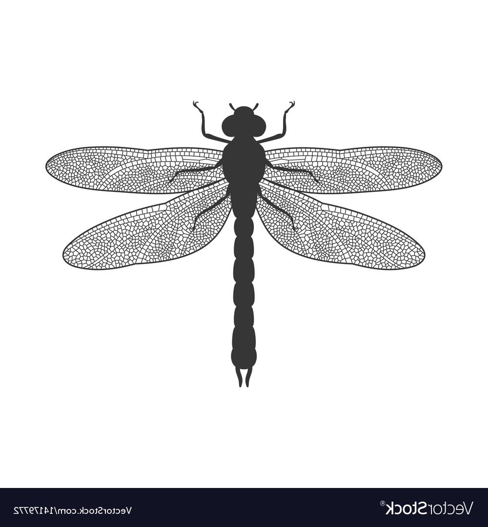 1000x1080 Best Dragonfly Silhouette Drawing Free Vector Art, Images