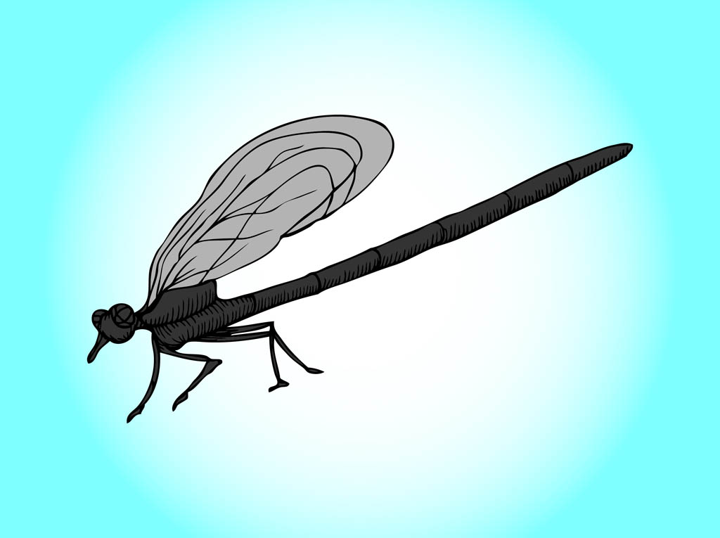 1024x765 Cartoon Dragonfly Graphics Vector Art Graphics