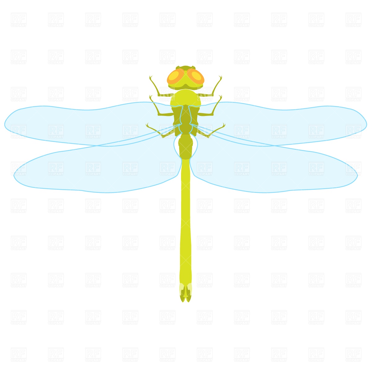 1200x1200 Dragonfly, Top View Vector Image Of Plants And Animals Prague