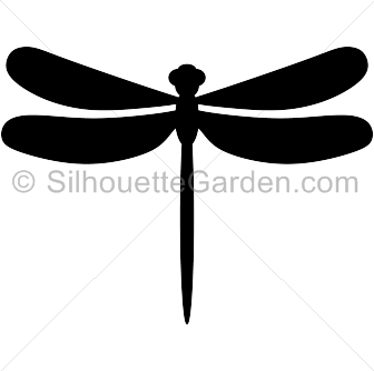 Dragonfly Vector Free Download